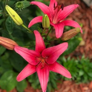 Meet your Posher, Laura